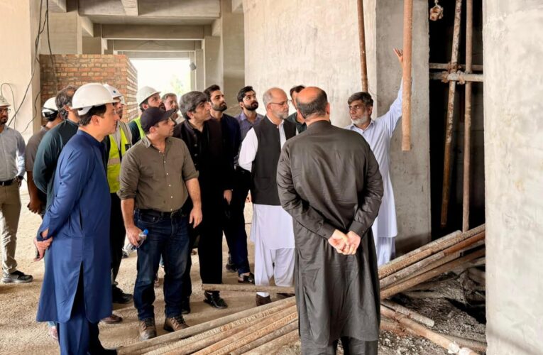 CEO CBD PUNJAB IMRAN AMIN VISITED NSIT CITY TO ACCESS PROJECTS PROGRESS