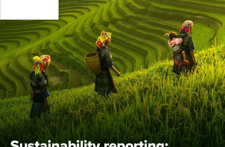 Interconnected sustainability and financial information vital for resilient organisations says new report