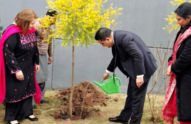 Zong Partners with Pak-EPA for Major Tree Plantation Drive in Islamabad